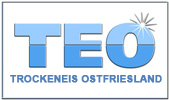 teo-logo4